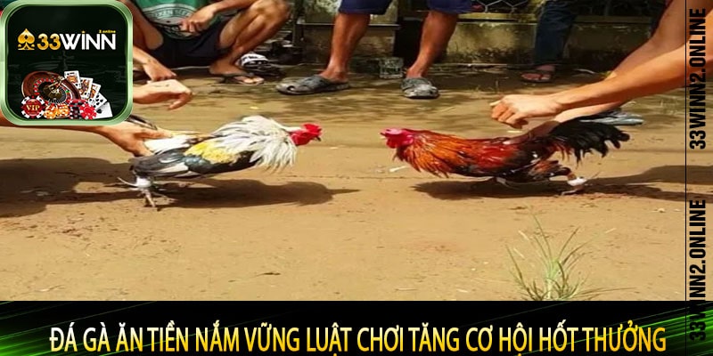 Đá Gà Ăn Tiền Nắm Vững Luật Chơi Tăng Cơ Hội Hốt Thưởng