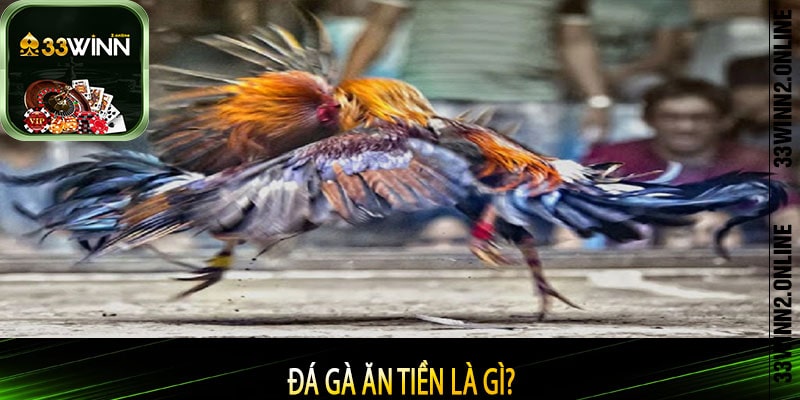 Đá gà ăn tiền là gì?