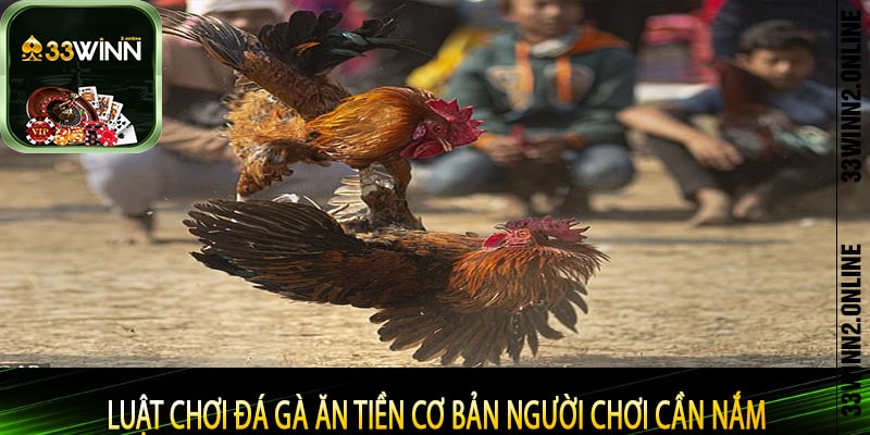 Luật chơi đá gà ăn tiền cơ bản người chơi cần nắm
